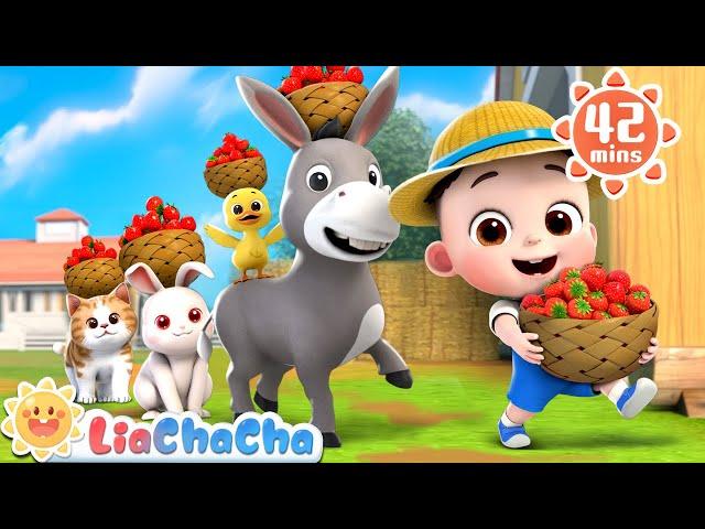 Walking Walking | Farm Animal Series Compilation + More LiaChaCha Kids Songs & Nursery Rhymes