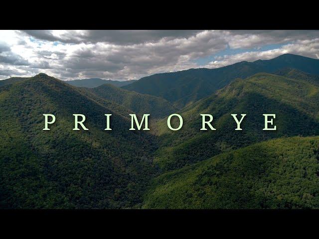 Nature and wildlife of Primorye.