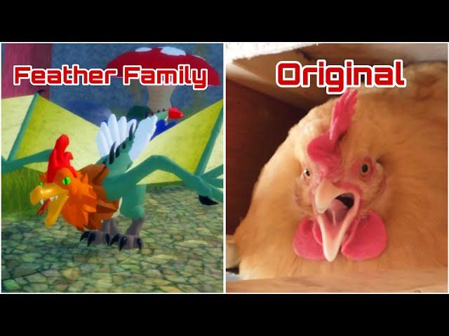 All Bird Calls Original Videos! (Roblox Feather Family)