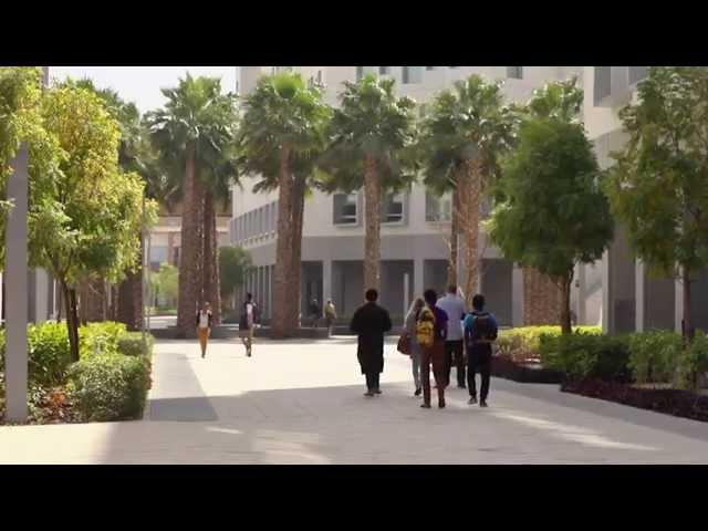 Meet NYU Abu Dhabi