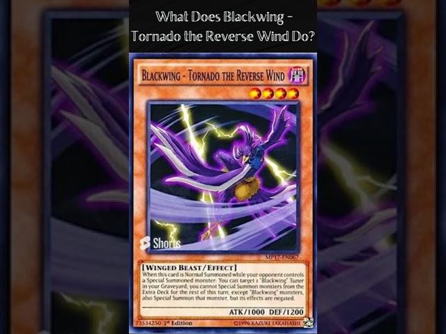 What Does Blackwing - Tornado the Reverse Wind Do?