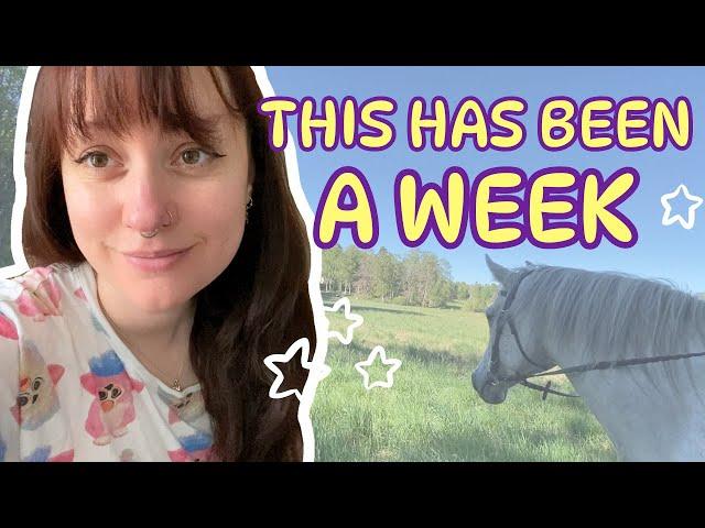 This Week Was A Rollercoaster - Sampling Cake?! | Chatty Crochet Vlog - Shaiyeh