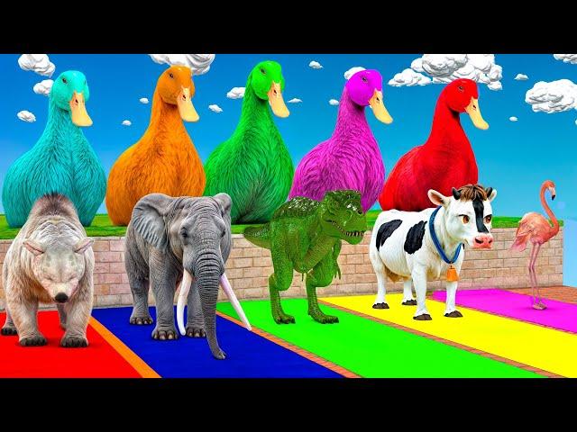 Long Slide Game With Elephant Gorilla Buffalo Hippopotamus Tiger 3d Animal Game Funny 3d Animals