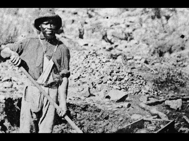 All that Glitters: A New Look at the California Gold Rush