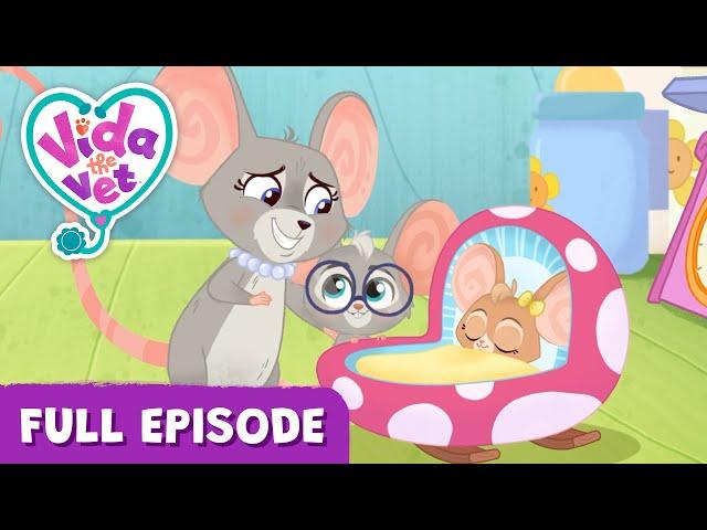 Sunny’s Baby Sister Surprise @VidaTheVet Full Episode  Animal Cartoons for Kids #learning  #Animals