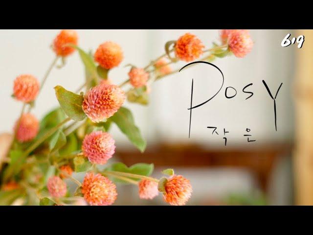 플라워레슨 619 백일홍 포지부케 Flower lesson 619 Posy bouquet