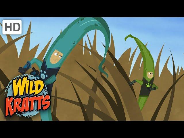 Wild Kratts | The Food Chain Game | Full Episode | Season 1