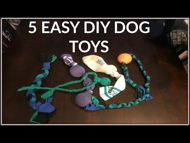 5 Super Easy DIY Dog Toys