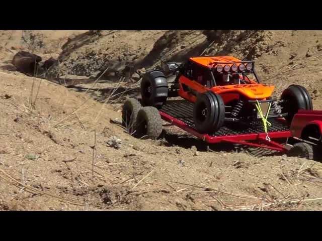 AXIAL EXO IN THE SAND FOREST