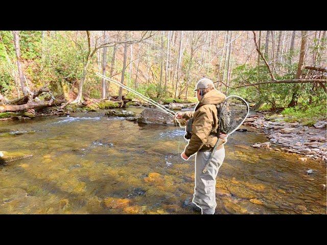 Fly Fishing Crystal Clear Water And Giant Brown Trout!!!