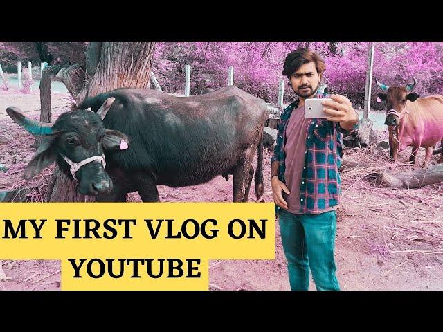 My First Vlog | Introduction | Sindhu Verma Vlogs