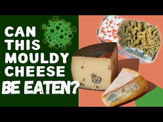 Can You Eat Mouldy Cheese? (How To Tell Good Cheese Mould From Bad Mould)
