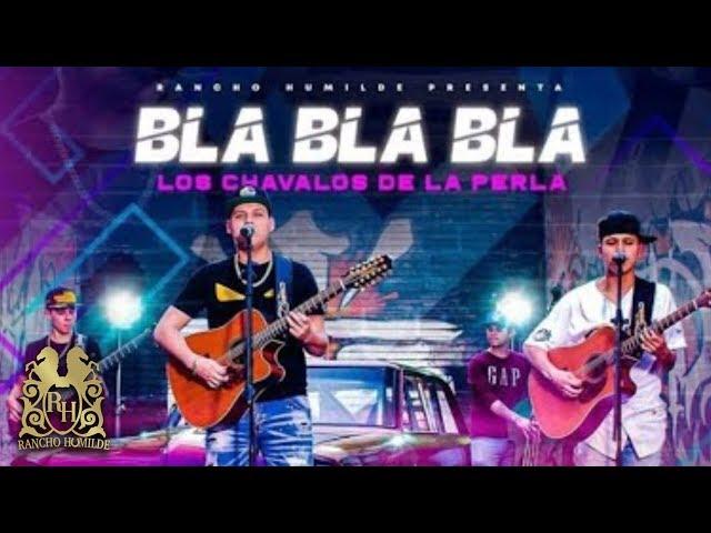 Los Chavalos de la Perla - Bla Bla Bla [En Vivo]