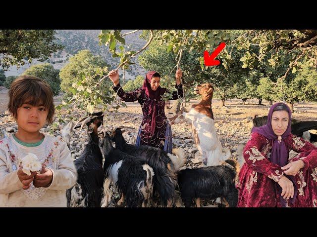 Najla goes to the cameraman's house with the cameraman and Khadija decides to go on a trip.