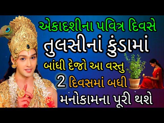 એકાદશીના દિવસે તુલસીનાં કુંડામાં બાંધી દેજો આ વસ્તુ 2 દિવસમાં તમારી મનોકામના પૂરી થશે | તુલસીની પૂજા