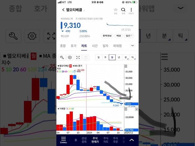 엘오티베큠 월봉 하락 지속, 주식 주가 전망.