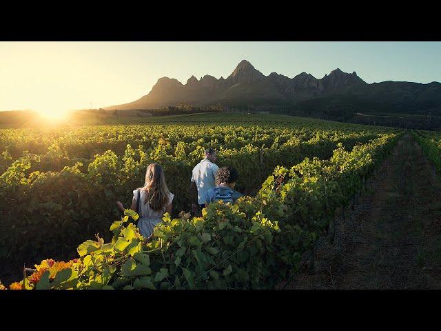 Viator - Private Winelands Explore Tour of Stellenbosch, Franschhooek and Paarl regions