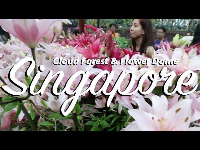 Singapore's Beautiful Indoor Nature | Cloud Forest & Flower Dome