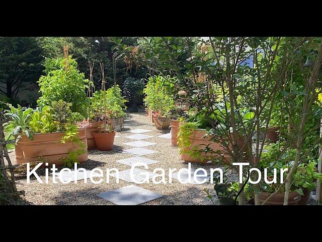 Potager Kitchen Garden Tour June 2022/One Month Growth fruits, Vegetables and Ornamentals