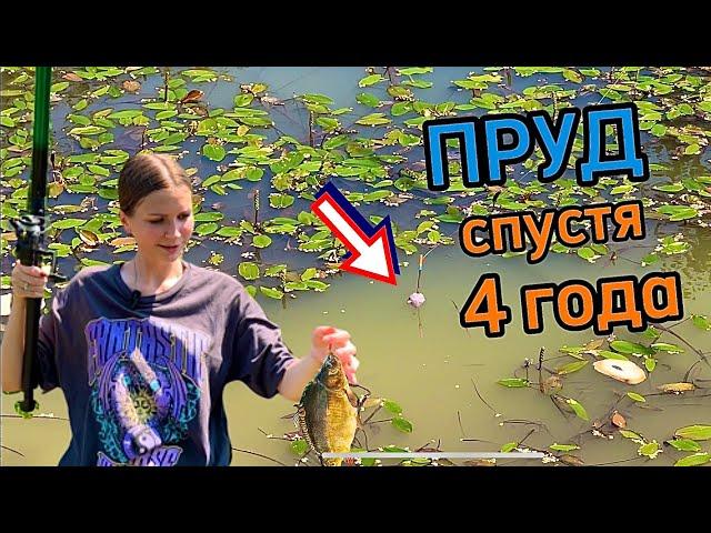 МОЙ ПРУД СПУСТЯ 4 ГОДА ! ПЕРВАЯ РЫБАЛКА | Девушка ловит рыбу