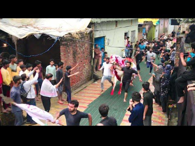 Live 10th Muharram | Ashura | Zuljanah Baramad Video | Zainpur Jhanjheri | Zuljanah| 2021/1443 Hijri