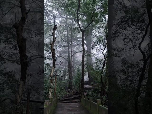 古风写真，唯美意境，治愈系风景