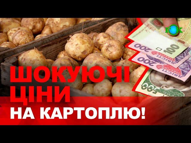 ЩОЙНО стало відомо! Ціни на картоплю ШОКУЮТЬ українців