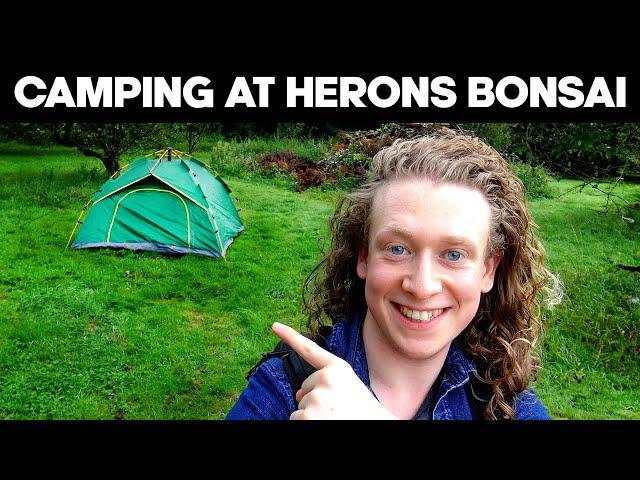 Camping Overnight at Herons Bonsai Nursery!