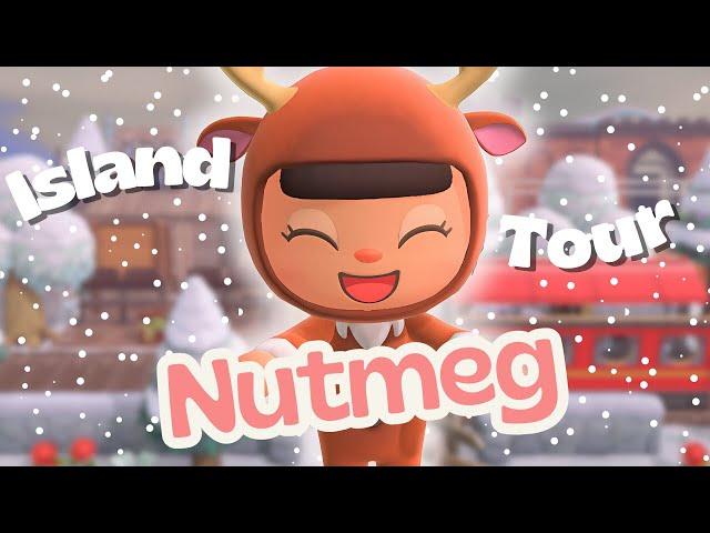 I Finished Nutmeg | Winter Christmas Cottagecore Island Tour | ACNH Animal Crossing New Horizons