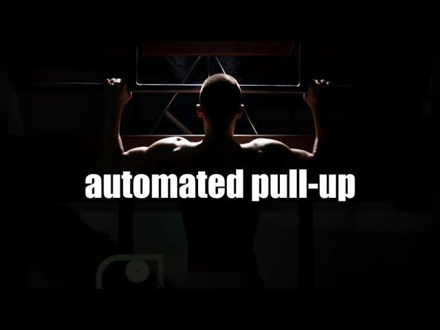 automated pull-ups (morphic field)