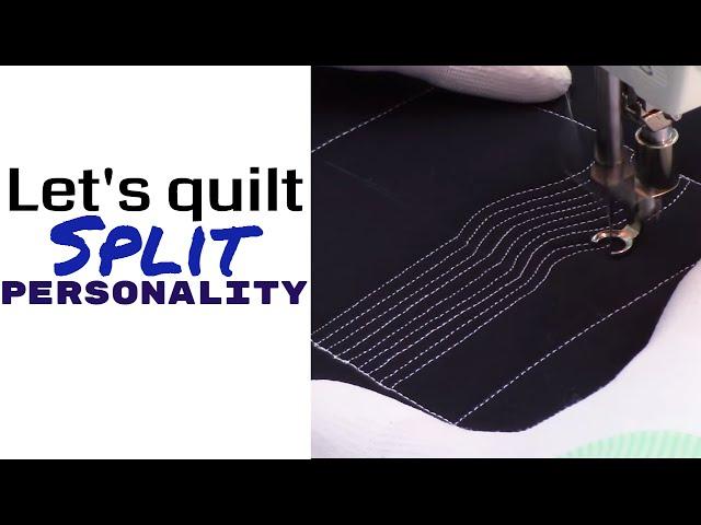 How to Quilt Split Personality - Machine Quilting for Beginners Tutorial with Leah Day #480