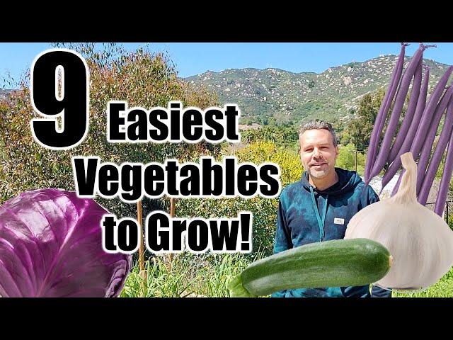 9 Easiest Vegetables to Grow