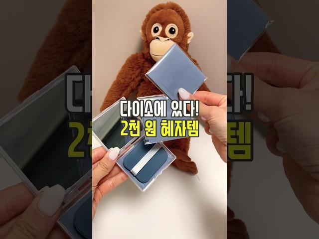 다이소에 있다! 2천 원 혜자템! 🫢 #리뷰몽키