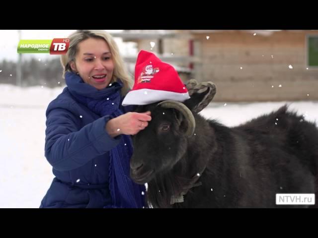 Новогоднее поздравление от коллектива НТВХ