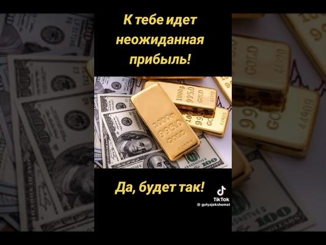 31 августа 2024 г.