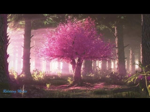 Relaxing Music, Brain-Calming Music, Stress Relief • Beautiful Relaxing Music for Stress Relief