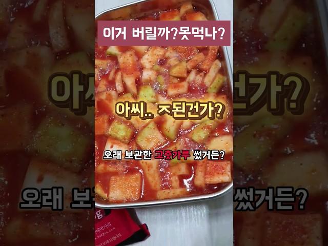 고추가루 냉동실에서 당장 빼세요 #shorts
