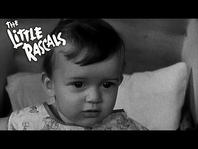 Bouncing Babies | Little Rascals Shorts | FULL EPISODE | 1929