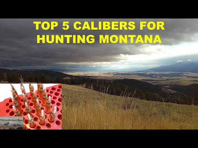 TOP 5 Calibers/Cartridges for HUNTING MONTANA!