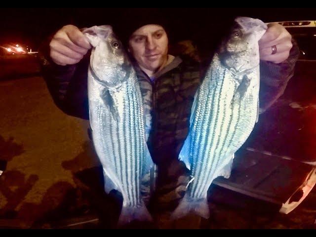 Striped Bass FEEDING FRENZY while FISHING DOCK LIGHTS ft. How to fish dock lights