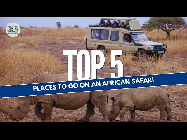 TOP 5: Places to Go on an AFRICAN SAFARI