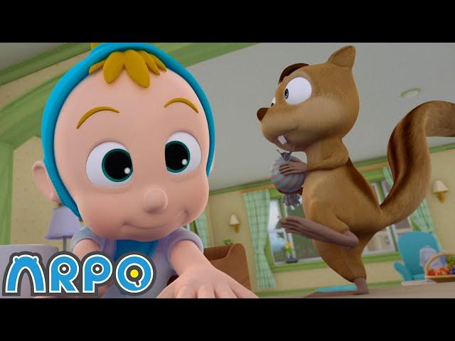 Squirrel Chase MADNESS!! | ARPO The Robot Classics | Funny Cartoons for Kids