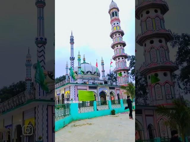 Hazrat Masoom Ali dargah ️#sot #viral #shortvideo #viral #viral #south #suit #so