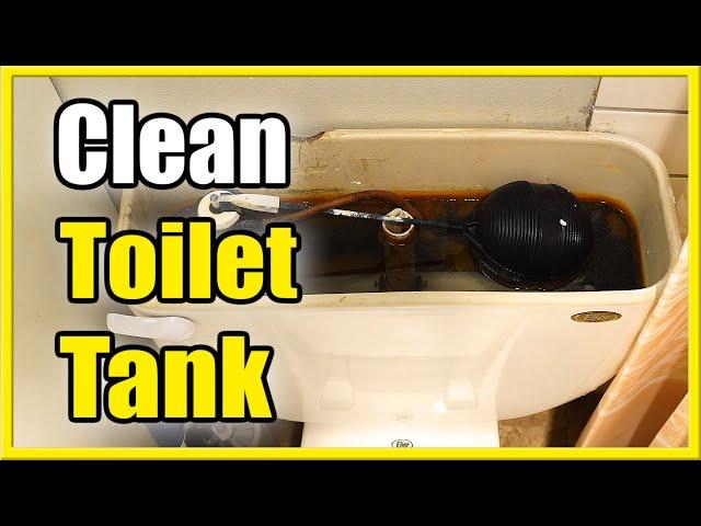 How to Clean Toilet Tank with Citric Acid (Almost no Scrubbing!)