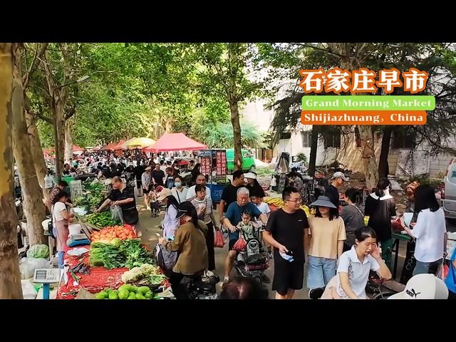 Exploring the Bustling Xisanzhuang Morning Market: A Feast for the Senses