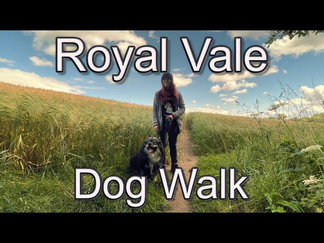 Impromptu family and dog friendly walk in Vale Royal and River Weaver