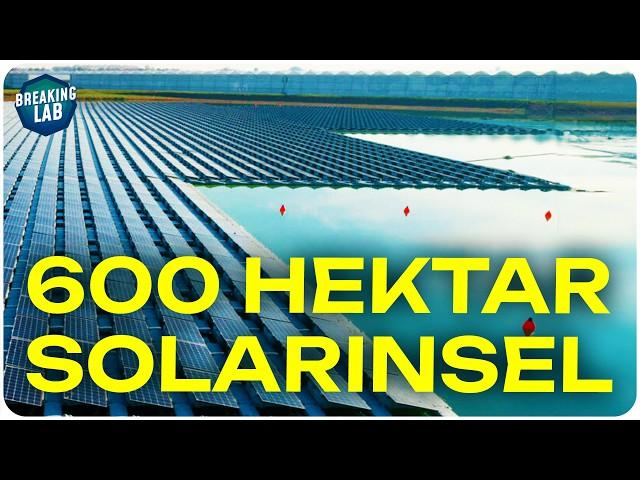 Floating Solarzellen: effizienter und günstiger im Betrieb?