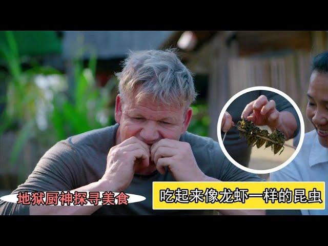 吃起来像龙虾的巨大昆虫，厨神戈登深入原始村落，品尝新奇食材