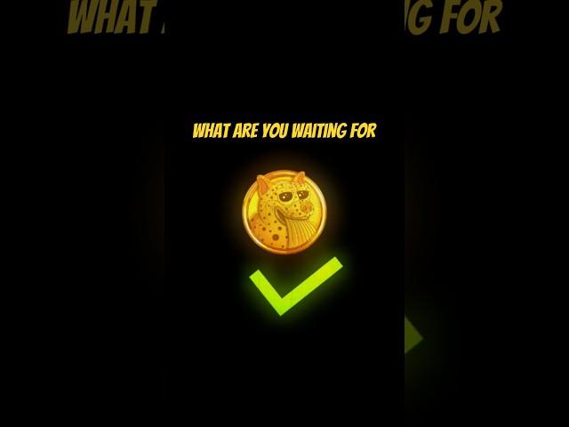 This memecoin just broke the algorithm—$ZEUS is taking over.  #trending