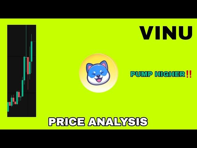 VINU COIN PUMP HIGHER UPDATE IN 2024‼️ VITA INU PRICE ANALYSIS‼️ VITA INU COIN READY FOR MASSIVE